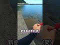 豚の皮で穴釣りをしてきました。