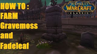 HOW TO: farm Grave Moss and Fadeleaf / World of Warcraft Classic