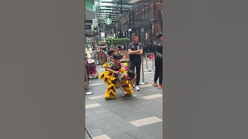 Thumbnail of 2025 World Dragon & Lion Dance Extravaganza