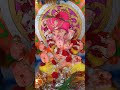 Ganapati bappa moraya 🙏 | Gajanana 🙏 #shorts #divine #viralshorts @Talghatkarworld01