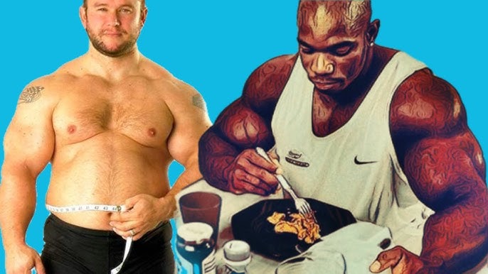 ▷ Cutting y Bulking – Gain Muscle Mass and Definition【HSN Blog】