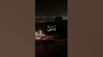 وقال إني ذاهب إلى ربي سيهدين سورة الصافات بصوت هاديء وجميل 