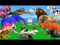 3 Zombe Hyenas vs Zombie Tiger Zombe Wolf Attack Baby lion Spider Saved by Woolly Mammoth Elephant