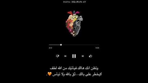 قرآن كريم بصوت القارئ ماهر المعيقلي تلاوة خاشعة  ح.mp4