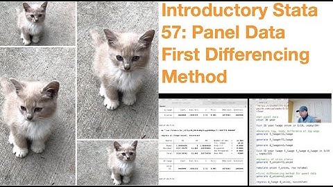 Introductory Stata 57: Panel Data First Differencing Method
