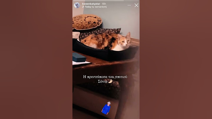 Η Κάτια Ταραμπάνκο και η γατούλα της 🐈💕