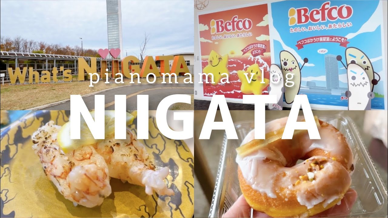 【vlog】新潟1泊2日の旅🚄 万代シティを中心に新潟グルメや観光を楽しむ🍣🍛