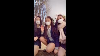 Tiktok　Jk　女子高生　太もも　きわどい