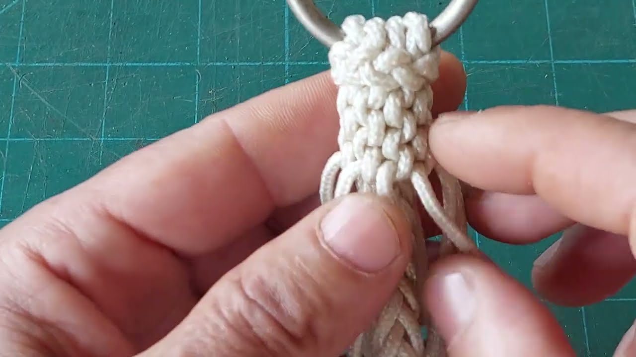 Mais variação espiga de milho 🌽. 