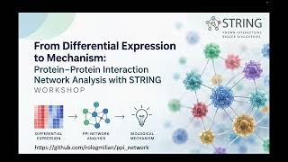 From Differential Expression to Mechanism: Interaction Network Analysis, Clusters, Functions, Hubs Update