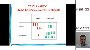 Cosa vuol dire il termine trasversale?