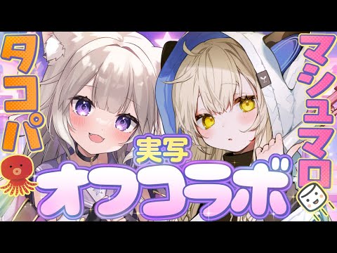 【実写オフコラボ】春茶とニウでたこ焼きパーティ&マシュマロ返答 / camera stream【カメラ】【夜絆ニウ / NeoPorte (ネオポルテ) 】