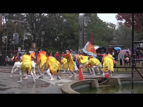 ひなた 2016 四日市よさこい祭り やったろ舞 メイン 波立つ先へ