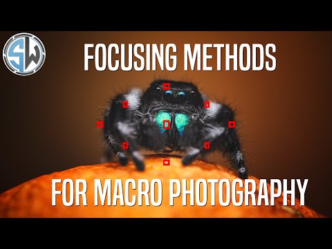 How to Focus in Macro Photography