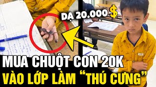 Mua chuột con giá '20 NGÀN' bỏ vào cặp nuôi, cậu bé 'RỚT NƯỚC MẮT' khi bị cô bắt | Tin Nhanh 3 Phút