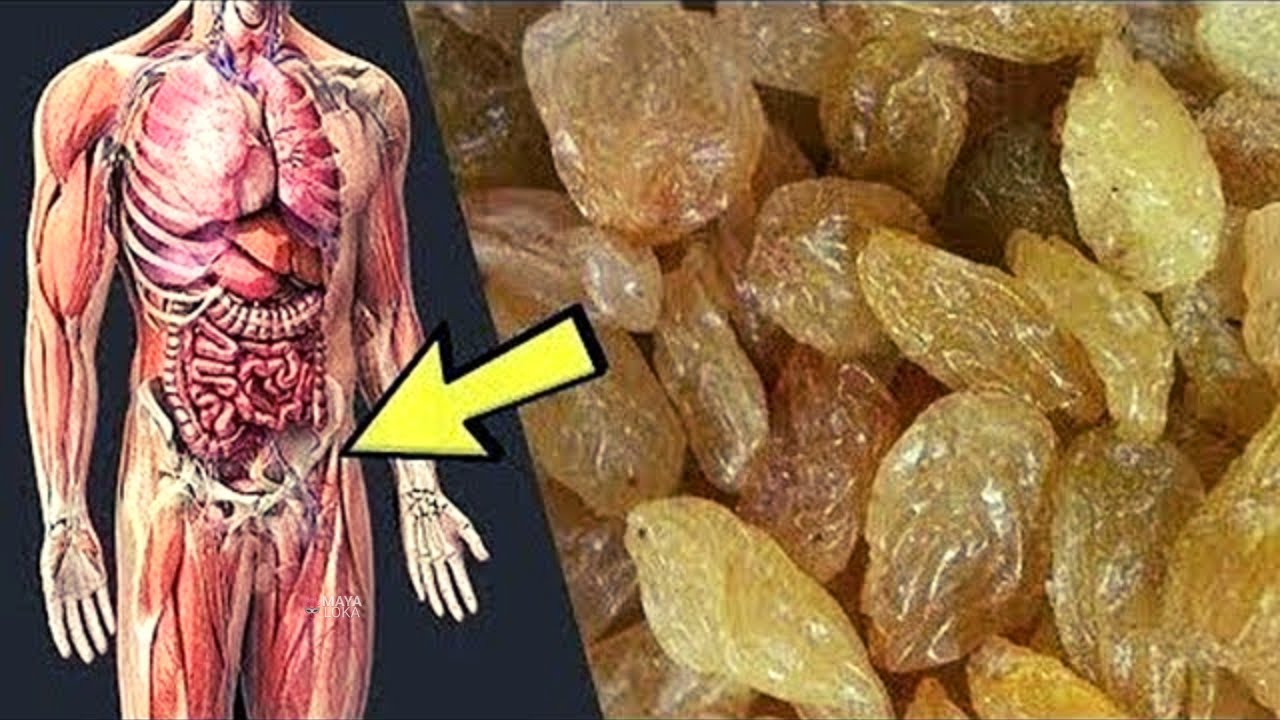 ಒಣದ್ರಾಕ್ಷಿಯನ್ನು ತಿನ್ನುವ ಪ್ರತಿಯೊಬ್ಬರೂ ಒಂದು ಸಾರಿ ಈ ವಿಡಿಯೋ ನೋಡಿ ನಿಮ್ಮ ಶರೀರದಲ್ಲಿ ಏನಾಗುತ್ತೆ ಶಾಕ್ Raisins