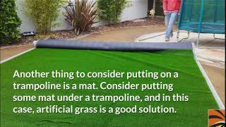 Don’t Know What To Do With Space Under a Backyard Trampoline?