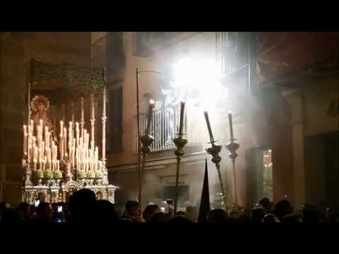 Venerable Hermandad de la Caridad en Cristo Nuestro Señor y Cofradía de Nazarenos del Santísimo Cristo de la Agonía, María Santísima de las Penas, Reina y Madre, y Santo Domingo de la Calzada