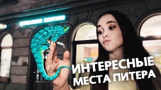 видео: Где посмотреть ХАМЕЛЕОНОВ, ЯЩЕРИЦ И ЗМЕЙ в Питере? 🌳 Самый большой зоомагазин, смотрим животных картинка: Где посмотреть ХАМЕЛЕОНОВ, ЯЩЕРИЦ И ЗМЕЙ в Питере? 🌳 Самый большой зоомагазин, смотрим животных