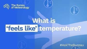 Ask the Bureau: What is 