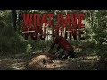 The Walking Dead || What Have You Done