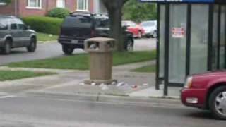 squirrels in the trashcan