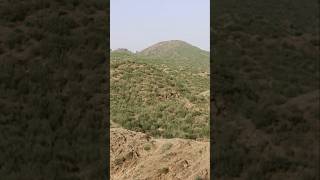 "Surah Ar-Rahman | Soothing Quran Recitation | Egzon Ibrahim Voice" #egzonibrahimi #suraharrahman