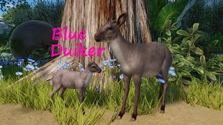 Blue Duiker by Leaf and Marc - Planet Zoo Mod