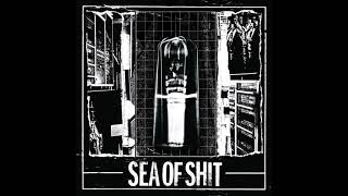 Sea of Sh!t / Radiation Blackbody - Full Split (2017)