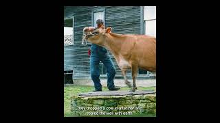 He Threw His Wife Down A Well, Then The Rats Started Hunting Him