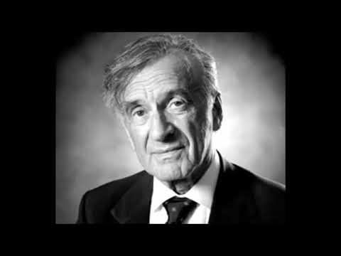 La notte di Elie Wiesel