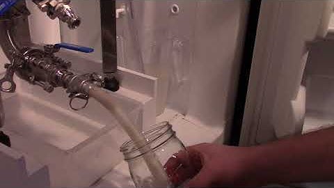 Dumping yeast from a conical fermentor