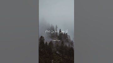 تلاوة جميلة بصوت الشيخ ياسر الدوسري ارح سمعك