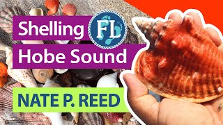 N. Jupiter Island #Shelling Hobe Sound #Beach Shell Hunting Beach Walk