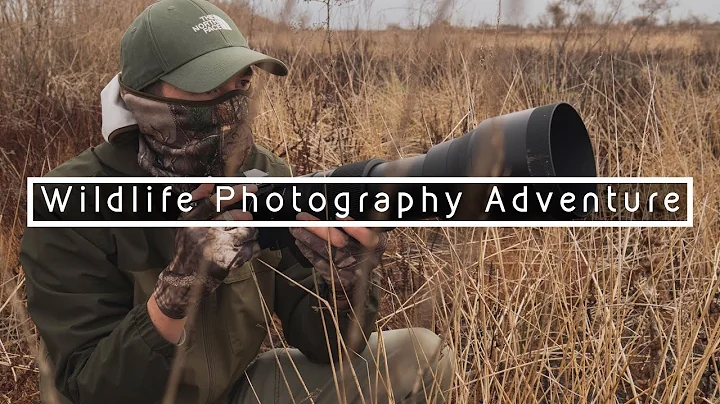 WILDLIFE PHOTOGRAPHY ADVENTURE | An Elusive Bird Amongst the Marsh