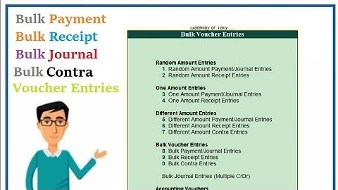 (Buy TDL Source Code Only Rs.2000) Random Amount Payment Receipt Bulk Voucher Entry in Tally Prime