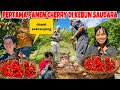 Pertama panen cherry di kebun saudara dapat sekranjangmahal di indonesia di sini ngak ada yg makan