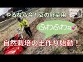 【自然栽培の土作り】夏のお野菜の為に土作り始動❗️トラスト地の浅耕耘１回目と管理機で麦踏み・お隣さんとの境界の草も綺麗に✨ 【家庭菜園】
