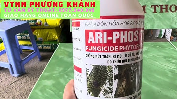 Ari Phos 750 trị nứt thân, xì mủ trên cây mít, sầu riêng | Đại lý Phương Khánh | Zalo 0977949948