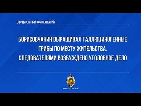 Борисовчанин выращивал галлюциногенные грибы по месту жительства. Возбуждено уголовное дело