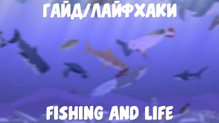 Гайды и лайфхаки по fishing and life