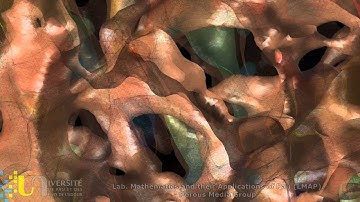 Outcrop sandstone, high resolution pore scale computing