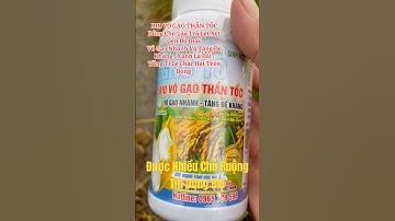 BIO VÔ GẠO THẦN TỐC Dùng cho lúa trổ lẹt xẹt đến lúa đỏ đuôi #loi84vlog #lua #automobile #travinh