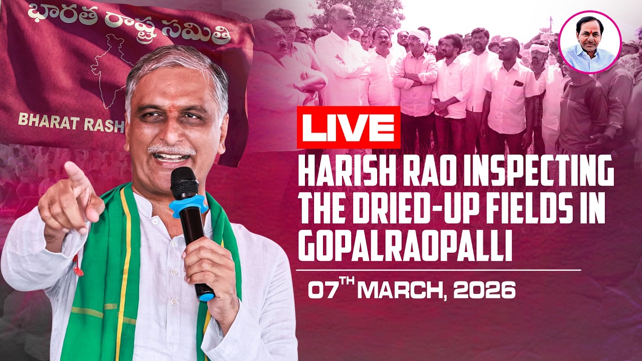 Live: Former Minister& MLA Harish Rao inspecting the dried-up fields in Gopalraopalli | Choppadandi