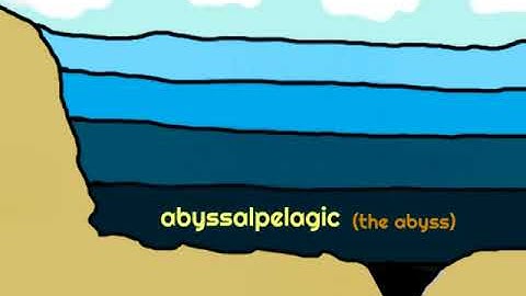 CC Cycle 1 Week 19 Science Song