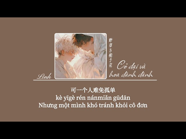 [Vietsub] Cỏ dại và hoa dành dành • Tịch Dương (Bản Nam)♪ 野草与栀子花 • 汐烊 class=