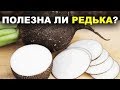 Полезные Свойства Редьки, Чем Полезна Черная и Зеленая Редька