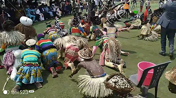 maitre demande sasa chokwe a koluezi