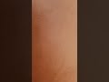 Untitled video
