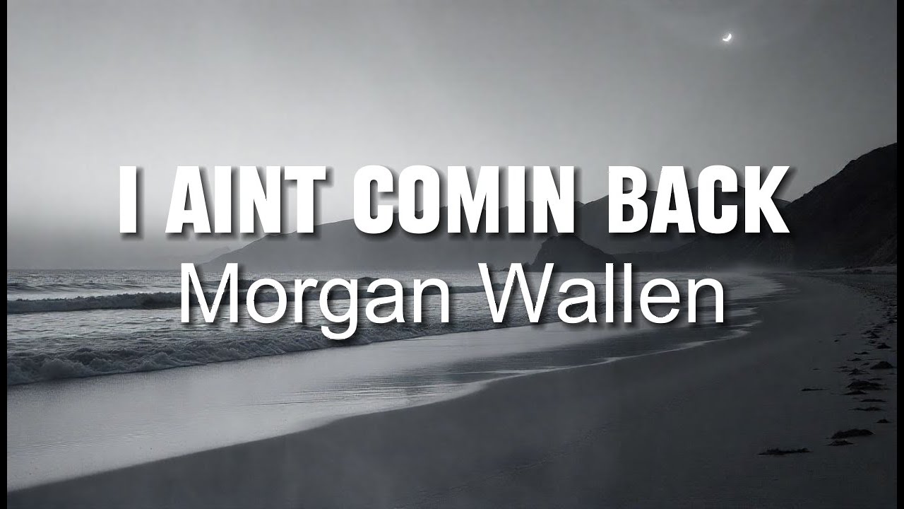 Morgan Wallen - I Ain't Comin' Back - COVER REMIX Morgan Wallen - I Ain't Comin' Back - COVER REMIX